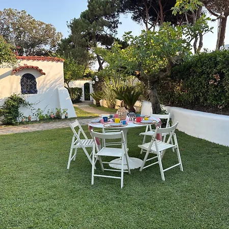 Sofia Casa de Férias