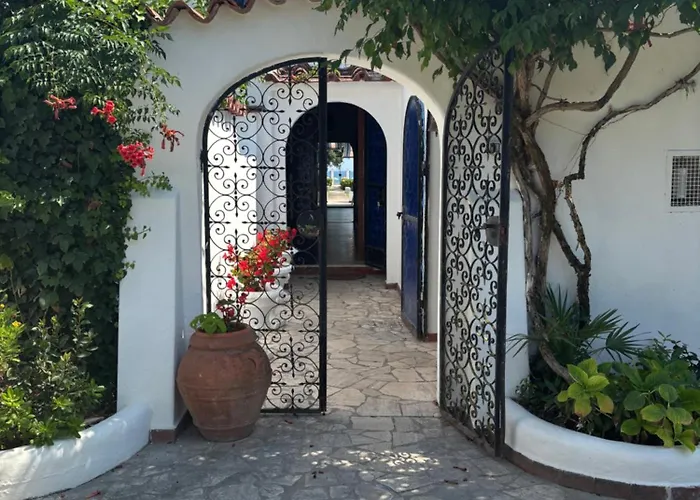 Sofia テッラチーナ