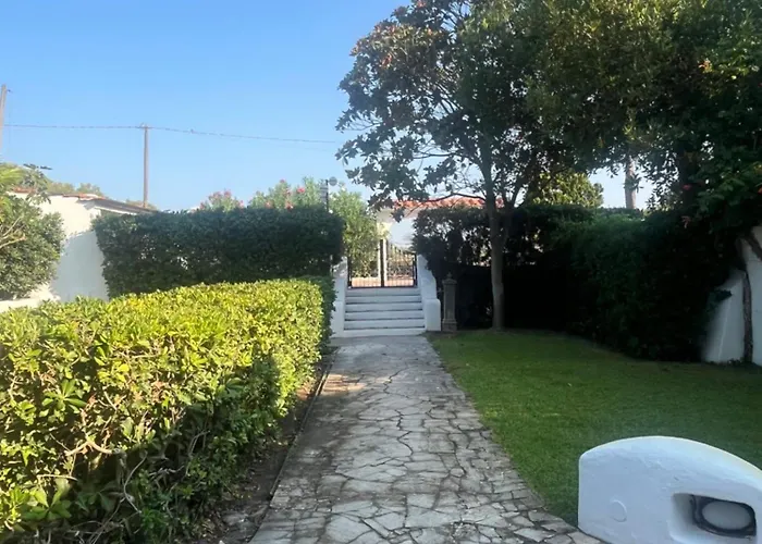 Sofia テッラチーナ